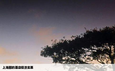 上海那的酒店经济实惠