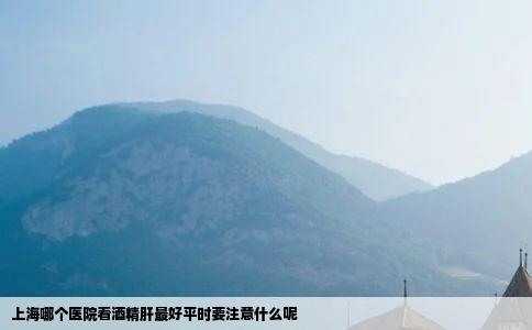 上海哪个医院看酒精肝最好平时要注意什么呢