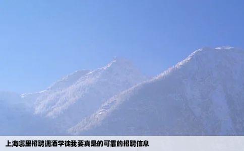 上海哪里招聘调酒学徒我要真是的可靠的招聘信息