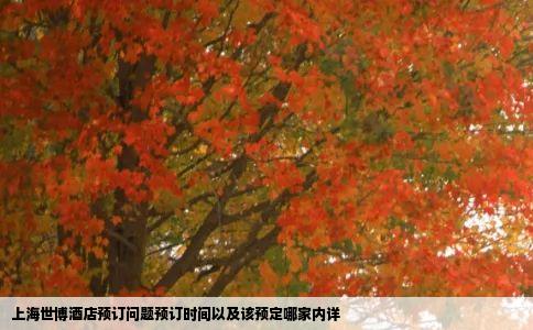 上海世博酒店预订问题预订时间以及该预定哪家内详