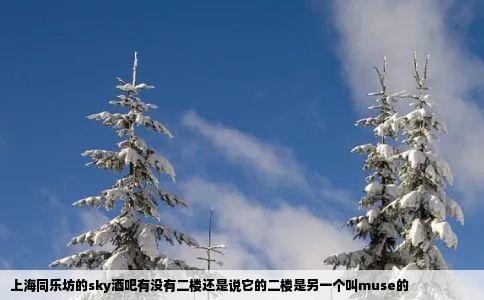 上海同乐坊的sky酒吧有没有二楼还是说它的二楼是另一个叫muse的