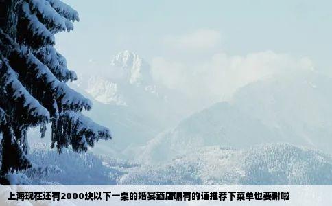 上海现在还有2000块以下一桌的婚宴酒店嘛有的话推荐下菜单也要谢啦