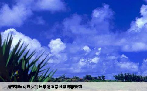 上海在哪里可以买到日本清酒带回家喝非餐馆