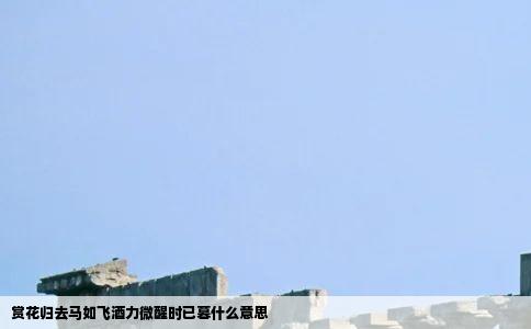 赏花归去马如飞酒力微醒时已暮什么意思