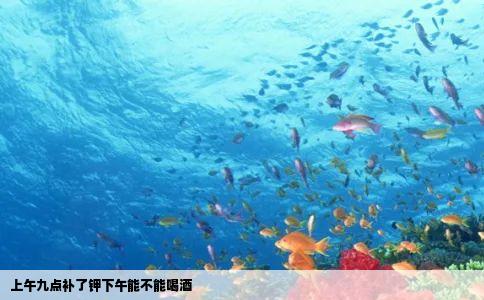 上午九点补了钾下午能不能喝酒