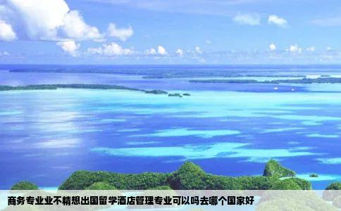 商务专业业不精想出国留学酒店管理专业可以吗去哪个国家好