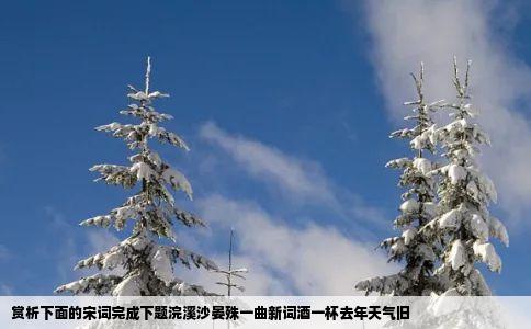 赏析下面的宋词完成下题浣溪沙晏殊一曲新词酒一杯去年天气旧
