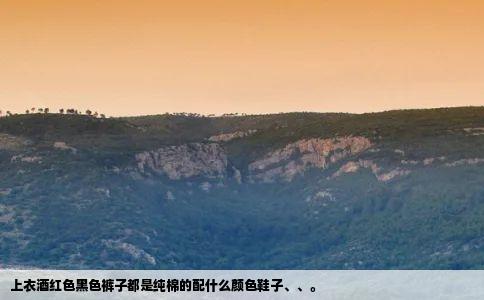 上衣酒红色黑色裤子都是纯棉的配什么颜色鞋子、、。