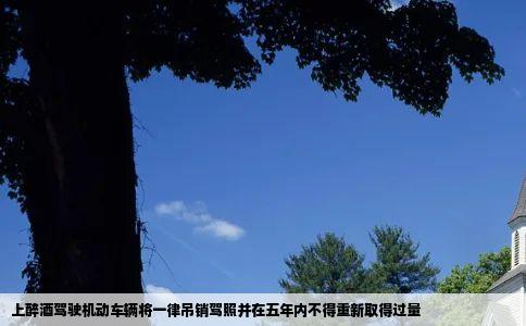 上醉酒驾驶机动车辆将一律吊销驾照并在五年内不得重新取得过量