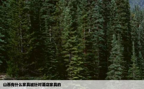 山西有什么家具城针对酒店家具的