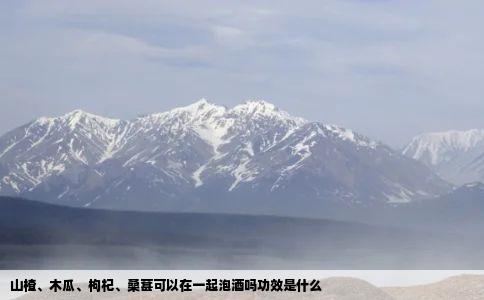 山楂、木瓜、枸杞、桑葚可以在一起泡酒吗功效是什么