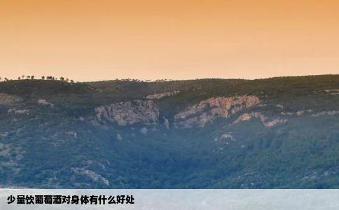 少量饮葡萄酒对身体有什么好处