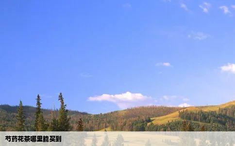 芍药花茶哪里能买到