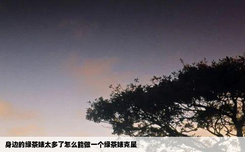 身边的绿茶婊太多了怎么能做一个绿茶婊克星