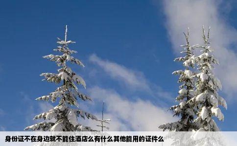 身份证不在身边就不能住酒店么有什么其他能用的证件么