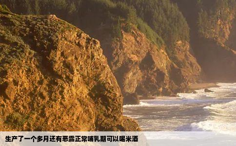 生产了一个多月还有恶露正常哺乳期可以喝米酒