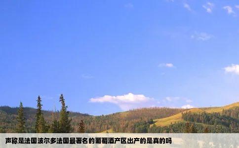 声称是法国波尔多法国最著名的葡萄酒产区出产的是真的吗