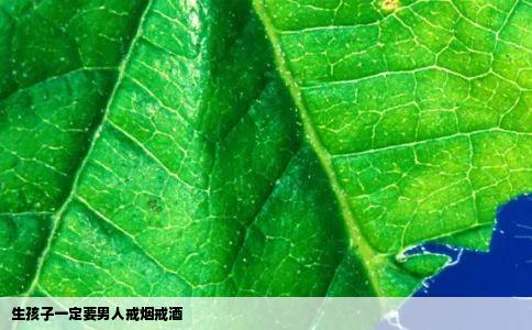 生孩子一定要男人戒烟戒酒