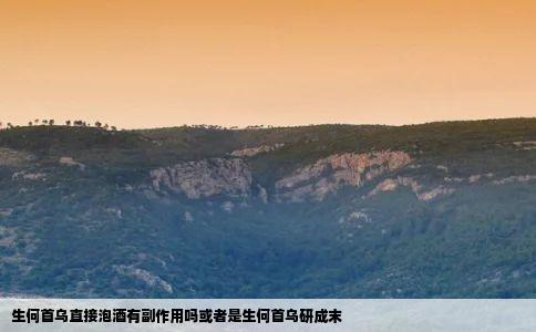 生何首乌直接泡酒有副作用吗或者是生何首乌研成末