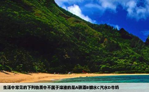 生活中常见的下列物质中不属于溶液的是A碘酒B糖水C汽水D牛奶