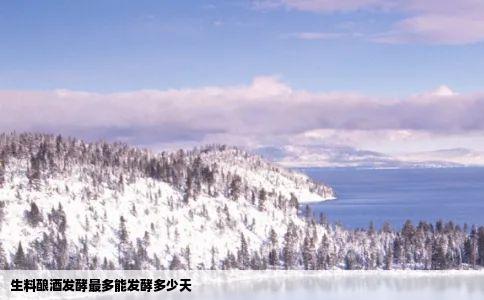 生料酿酒发酵最多能发酵多少天
