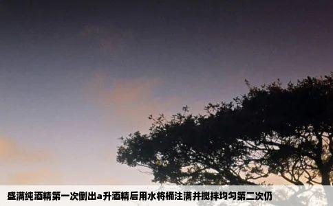 盛满纯酒精第一次倒出a升酒精后用水将桶注满并搅拌均匀第二次仍