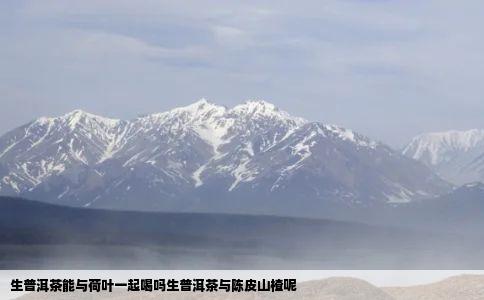 生普洱茶能与荷叶一起喝吗生普洱茶与陈皮山楂呢