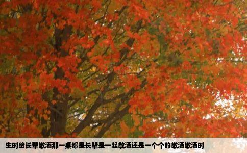 生时给长辈敬酒那一桌都是长辈是一起敬酒还是一个个的敬酒敬酒时