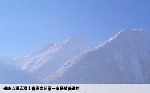 盛唐诗酒无双士青莲文苑第一家是赞美谁的
