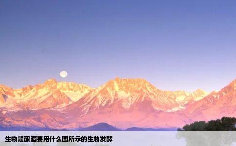 生物题酿酒要用什么图所示的生物发酵
