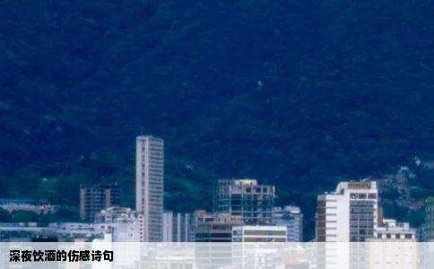 深夜饮酒的伤感诗句