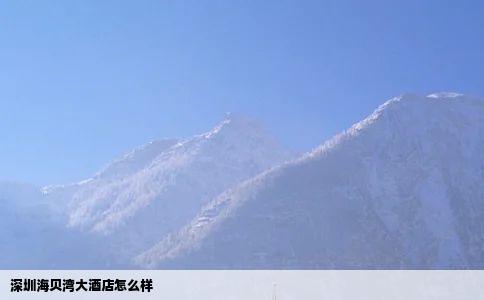 深圳海贝湾大酒店怎么样