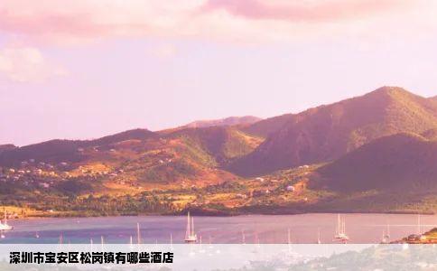 深圳市宝安区松岗镇有哪些酒店