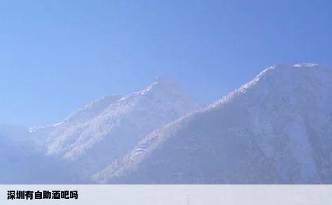 深圳有自助酒吧吗