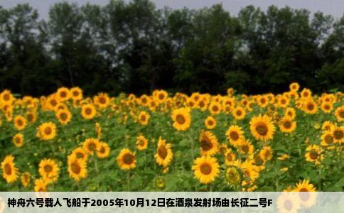 神舟六号载人飞船于2005年10月12日在酒泉发射场由长征二号F