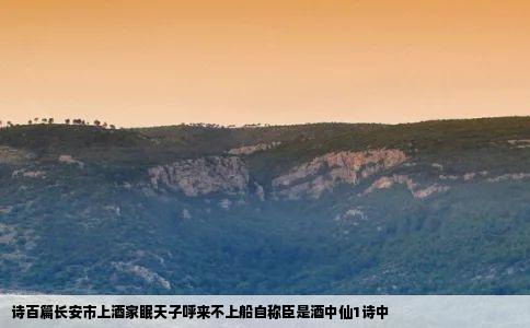 诗百篇长安市上酒家眠天子呼来不上船自称臣是酒中仙1诗中