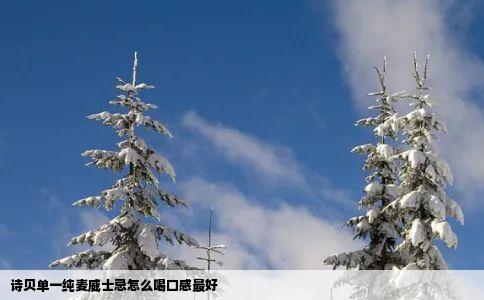 诗贝单一纯麦威士忌怎么喝口感最好