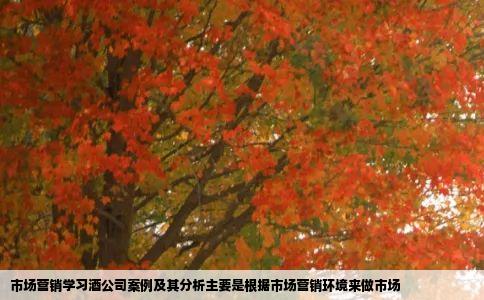 市场营销学习酒公司案例及其分析主要是根据市场营销环境来做市场