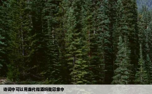 诗词中可以用盏代指酒吗我印象中