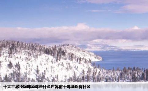 十大世界顶级啤酒都是什么世界前十啤酒都有什么