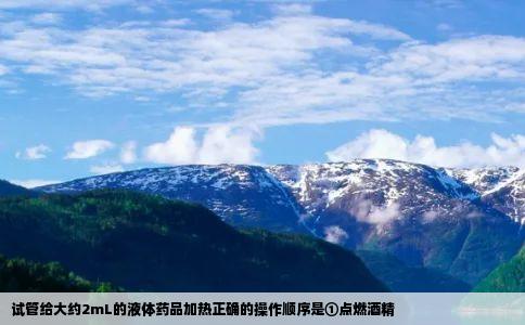 试管给大约2mL的液体药品加热正确的操作顺序是①点燃酒精