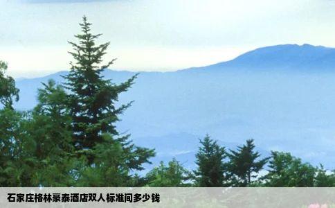 石家庄格林豪泰酒店双人标准间多少钱