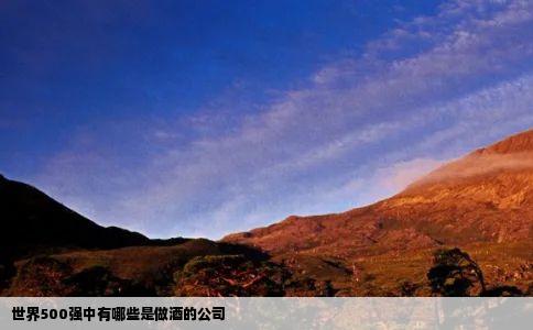 世界500强中有哪些是做酒的公司