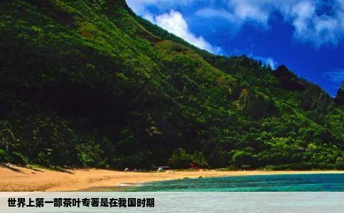 世界上第一部茶叶专著是在我国时期