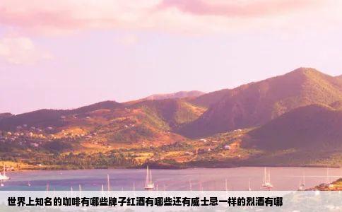 世界上知名的咖啡有哪些牌子红酒有哪些还有威士忌一样的烈酒有哪