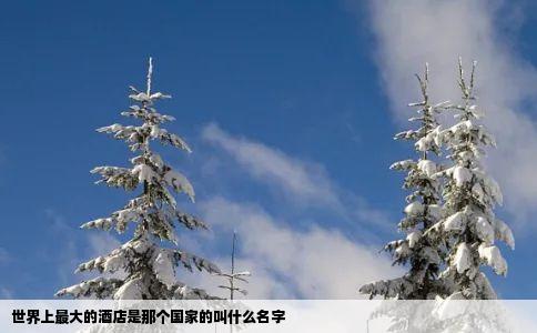 世界上最大的酒店是那个国家的叫什么名字
