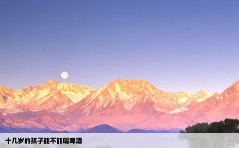 十几岁的孩子能不能喝啤酒