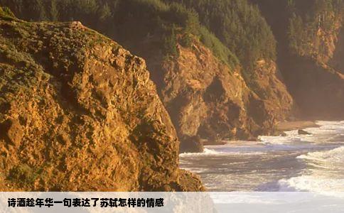 诗酒趁年华一句表达了苏轼怎样的情感