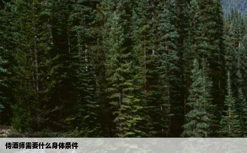 侍酒师需要什么身体条件