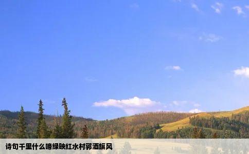 诗句千里什么啼绿映红水村郭酒旗风